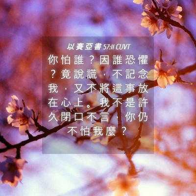 Picture 04 - 以 賽 亞 書 57:11 CUVT - 你 怕 誰 ？ 因 誰 恐 懼 ？ 竟 說 謊 - Bible Verse Picture