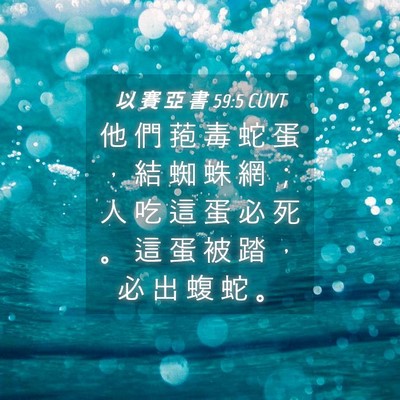 Picture 04 - 以 賽 亞 書 59:5 CUVT - 他 們 菢 毒 蛇 蛋 ， 結 蜘 蛛 網 ； - Bible Verse Picture