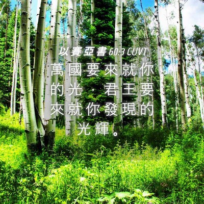 Picture 04 - 以 賽 亞 書 60:3 CUVT - 萬 國 要 來 就 你 的 光 ， 君 王 要 - Bible Verse Picture