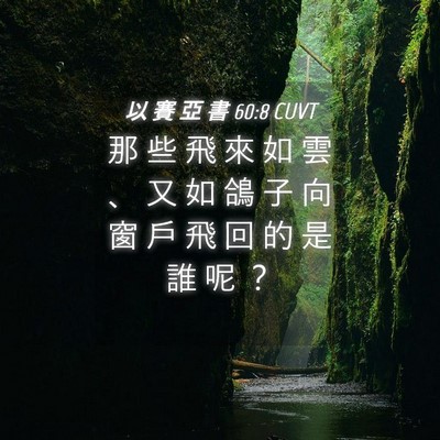 Picture 04 - 以 賽 亞 書 60:8 CUVT - 那 些 飛 來 如 雲 、 又 如 鴿 子 向 - Bible Verse Picture