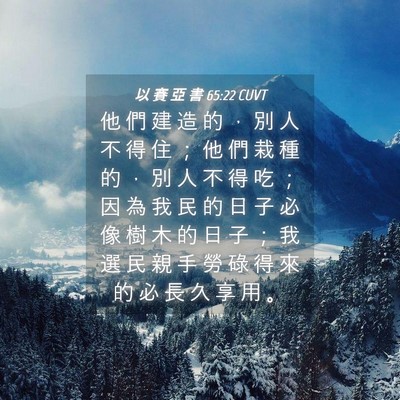 Picture 04 - 以 賽 亞 書 65:22 CUVT - 他 們 建 造 的 ， 別 人 不 得 住 ； - Bible Verse Picture