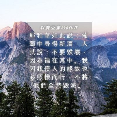 Picture 04 - 以 賽 亞 書 65:8 CUVT - 耶 和 華 如 此 說 ： 葡 萄 中 尋 得 - Bible Verse Picture