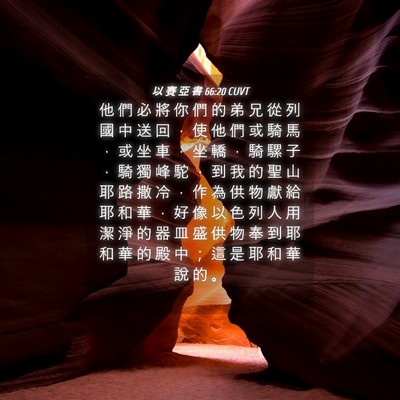 Picture 04 - 以 賽 亞 書 66:20 CUVT - 他 們 必 將 你 們 的 弟 兄 從 列 國 - Bible Verse Picture