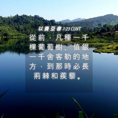 Picture 04 - 以 賽 亞 書 7:23 CUVT - 從 前 ， 凡 種 一 千 棵 葡 萄 樹 、 - Bible Verse Picture