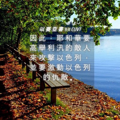 Picture 04 - 以 賽 亞 書 9:11 CUVT - 因 此 ， 耶 和 華 要 高 舉 利 汛 的 - Bible Verse Picture