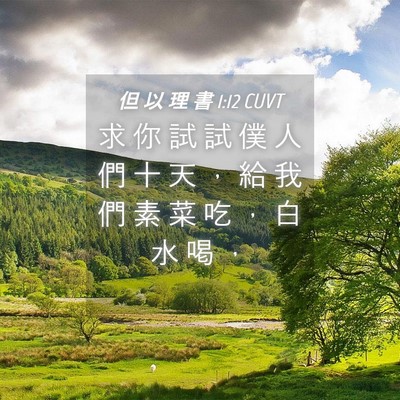 Picture 04 - 但 以 理 書 1:12 CUVT - 求 你 試 試 僕 人 們 十 天 ， 給 我 - Bible Verse Picture