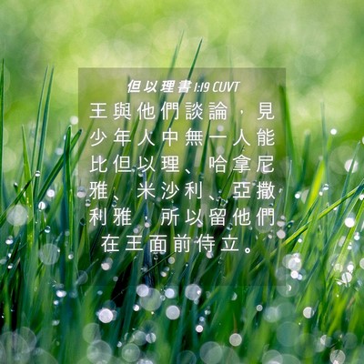 Picture 04 - 但 以 理 書 1:19 CUVT - 王 與 他 們 談 論 ， 見 少 年 人 中 - Bible Verse Picture