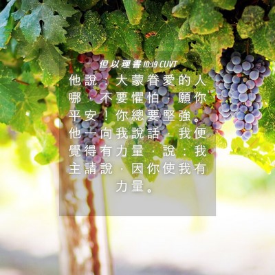 Picture 04 - 但 以 理 書 10:19 CUVT - 他 說 ： 大 蒙 眷 愛 的 人 哪 ， 不 - Bible Verse Picture