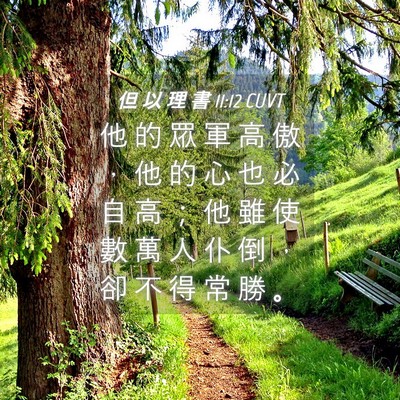 Picture 04 - 但 以 理 書 11:12 CUVT - 他 的 眾 軍 高 傲 ， 他 的 心 也 必 - Bible Verse Picture
