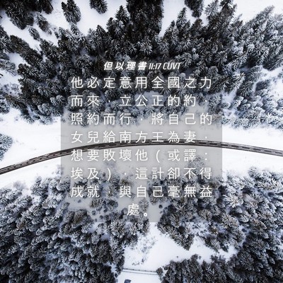 Picture 04 - 但 以 理 書 11:17 CUVT - 他 必 定 意 用 全 國 之 力 而 來 ， - Bible Verse Picture