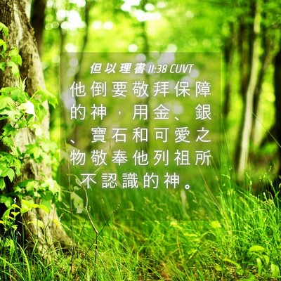 Picture 04 - 但 以 理 書 11:38 CUVT - 他 倒 要 敬 拜 保 障 的 神 ， 用 金 - Bible Verse Picture