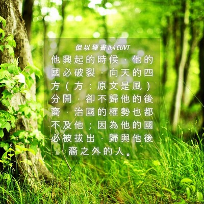 Picture 04 - 但 以 理 書 11:4 CUVT - 他 興 起 的 時 候 ， 他 的 國 必 破 - Bible Verse Picture