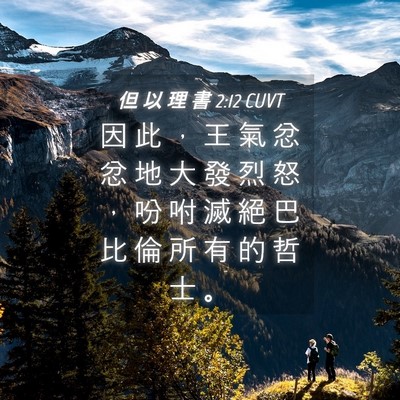 Picture 04 - 但 以 理 書 2:12 CUVT - 因 此 ， 王 氣 忿 忿 地 大 發 烈 怒 - Bible Verse Picture