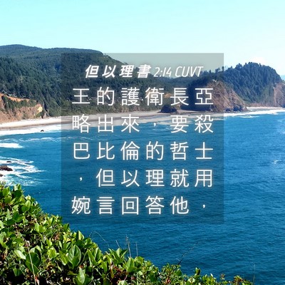 Picture 04 - 但 以 理 書 2:14 CUVT - 王 的 護 衛 長 亞 略 出 來 ， 要 殺 - Bible Verse Picture
