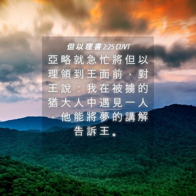 Picture 04 - 但 以 理 書 2:25 CUVT - 亞 略 就 急 忙 將 但 以 理 領 到 王 - Bible Verse Picture