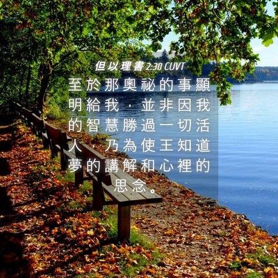 Picture 04 - 但 以 理 書 2:30 CUVT - 至 於 那 奧 祕 的 事 顯 明 給 我 ， - Bible Verse Picture