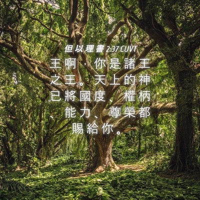 Picture 04 - 但 以 理 書 2:37 CUVT - 王 啊 ， 你 是 諸 王 之 王 。 天 上 - Bible Verse Picture