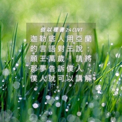 Picture 04 - 但 以 理 書 2:4 CUVT - 迦 勒 底 人 用 亞 蘭 的 言 語 對 王 - Bible Verse Picture