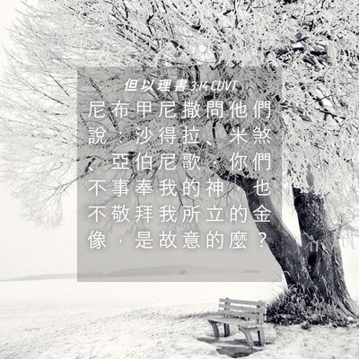 Picture 04 - 但 以 理 書 3:14 CUVT - 尼 布 甲 尼 撒 問 他 們 說 ： 沙 得 - Bible Verse Picture