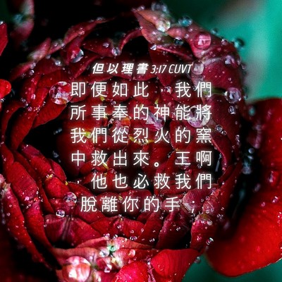 Picture 04 - 但 以 理 書 3:17 CUVT - 即 便 如 此 ， 我 們 所 事 奉 的 神 - Bible Verse Picture