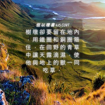 Picture 04 - 但 以 理 書 4:15 CUVT - 樹 墩 卻 要 留 在 地 內 ， 用 鐵 圈 - Bible Verse Picture