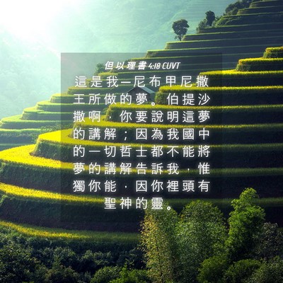 Picture 04 - 但 以 理 書 4:18 CUVT - 這 是 我 ─ 尼 布 甲 尼 撒 王 所 做 - Bible Verse Picture