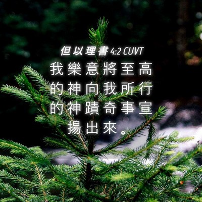 Picture 04 - 但 以 理 書 4:2 CUVT - 我 樂 意 將 至 高 的 神 向 我 所 行 - Bible Verse Picture