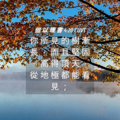 Picture 04 - 但 以 理 書 4:20 CUVT - 你 所 見 的 樹 漸 長 ， 而 且 堅 固 - Bible Verse Picture