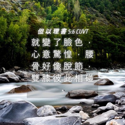 Picture 04 - 但 以 理 書 5:6 CUVT - 就 變 了 臉 色 ， 心 意 驚 惶 ， 腰 - Bible Verse Picture