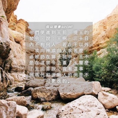 Picture 04 - 但 以 理 書 6:12 CUVT - 他 們 便 進 到 王 前 ， 提 王 的 禁 - Bible Verse Picture