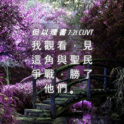 Picture 04 - 但 以 理 書 7:21 CUVT - 我 觀 看 ， 見 這 角 與 聖 民 爭 戰 - Bible Verse Picture