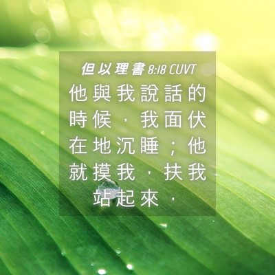 Picture 04 - 但 以 理 書 8:18 CUVT - 他 與 我 說 話 的 時 候 ， 我 面 伏 - Bible Verse Picture