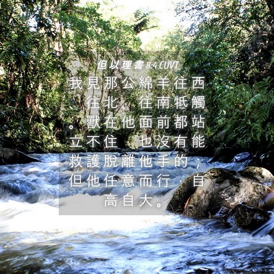 Picture 04 - 但 以 理 書 8:4 CUVT - 我 見 那 公 綿 羊 往 西 、 往 北 、 - Bible Verse Picture
