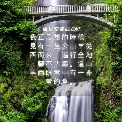 Picture 04 - 但 以 理 書 8:5 CUVT - 我 正 思 想 的 時 候 ， 見 有 一 隻 - Bible Verse Picture