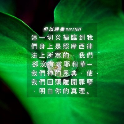 Picture 04 - 但 以 理 書 9:13 CUVT - 這 一 切 災 禍 臨 到 我 們 身 上 是 - Bible Verse Picture