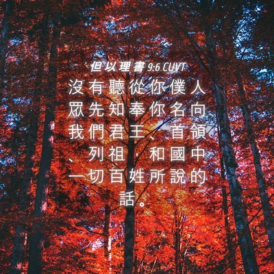 Picture 04 - 但 以 理 書 9:6 CUVT - 沒 有 聽 從 你 僕 人 眾 先 知 奉 你 - Bible Verse Picture