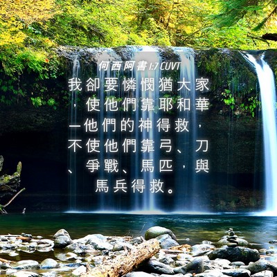 Picture 04 - 何 西 阿 書 1:7 CUVT - 我 卻 要 憐 憫 猶 大 家 ， 使 他 們 - Bible Verse Picture