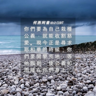 Picture 04 - 何 西 阿 書 10:12 CUVT - 你 們 要 為 自 己 栽 種 公 義 ， 就 - Bible Verse Picture