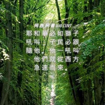 Picture 04 - 何 西 阿 書 11:10 CUVT - 耶 和 華 必 如 獅 子 吼 叫 ， 子 民 - Bible Verse Picture