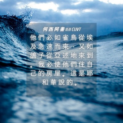 Picture 04 - 何 西 阿 書 11:11 CUVT - 他 們 必 如 雀 鳥 從 埃 及 急 速 而 - Bible Verse Picture
