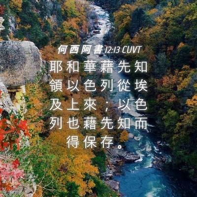 Picture 04 - 何 西 阿 書 12:13 CUVT - 耶 和 華 藉 先 知 領 以 色 列 從 埃 - Bible Verse Picture