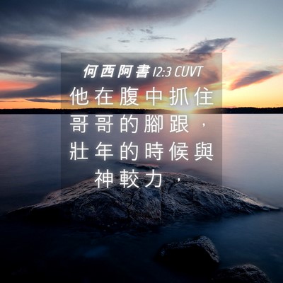 Picture 04 - 何 西 阿 書 12:3 CUVT - 他 在 腹 中 抓 住 哥 哥 的 腳 跟 ， - Bible Verse Picture