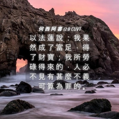 Picture 04 - 何 西 阿 書 12:8 CUVT - 以 法 蓮 說 ： 我 果 然 成 了 富 足 - Bible Verse Picture