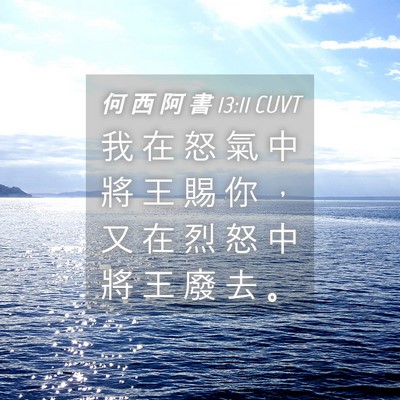 Picture 04 - 何 西 阿 書 13:11 CUVT - 我 在 怒 氣 中 將 王 賜 你 ， 又 在 - Bible Verse Picture