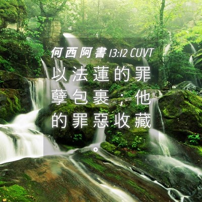 Picture 04 - 何 西 阿 書 13:12 CUVT - 以 法 蓮 的 罪 孽 包 裹 ； 他 的 罪 - Bible Verse Picture