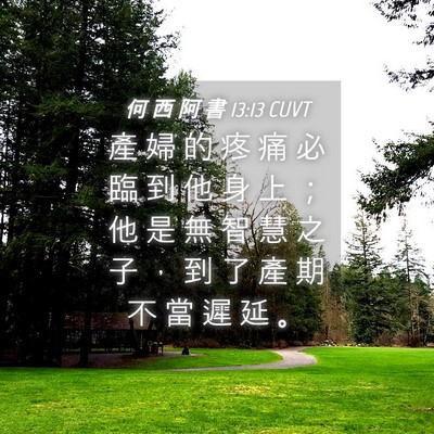 Picture 04 - 何 西 阿 書 13:13 CUVT - 產 婦 的 疼 痛 必 臨 到 他 身 上 ； - Bible Verse Picture