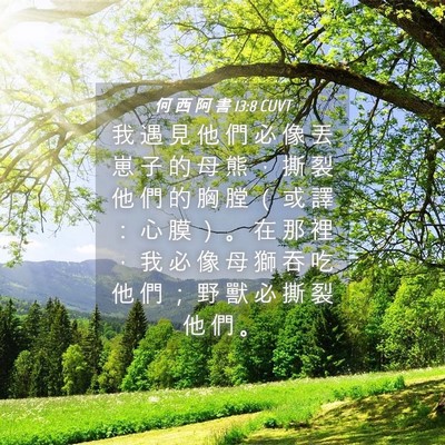 Picture 04 - 何 西 阿 書 13:8 CUVT - 我 遇 見 他 們 必 像 丟 崽 子 的 母 - Bible Verse Picture