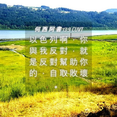 Picture 04 - 何 西 阿 書 13:9 CUVT - 以 色 列 啊 ， 你 與 我 反 對 ， 就 - Bible Verse Picture