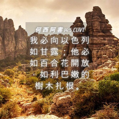 Picture 04 - 何 西 阿 書 14:5 CUVT - 我 必 向 以 色 列 如 甘 露 ； 他 必 - Bible Verse Picture