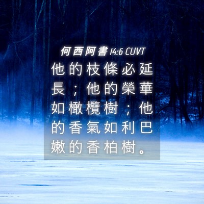 Picture 04 - 何 西 阿 書 14:6 CUVT - 他 的 枝 條 必 延 長 ； 他 的 榮 華 - Bible Verse Picture